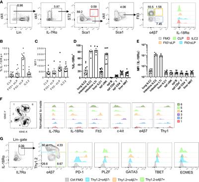 IL-18/IL-18R Signaling Is Dispensable for ILC Development But Constrains the Growth of ILCP/ILCs